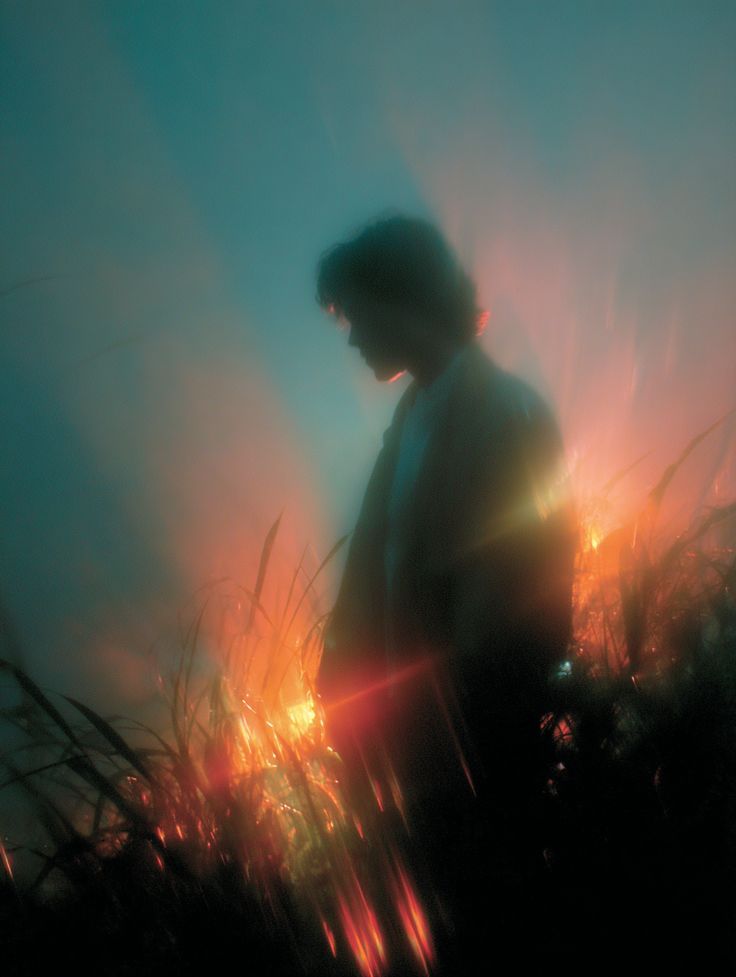 Dusk in the reeds, the light going warm then cold.